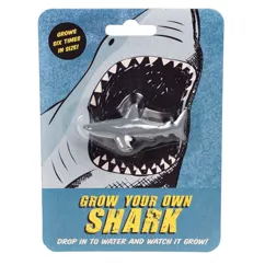 faites grandir votre propre requin faites grandir votre propre requin