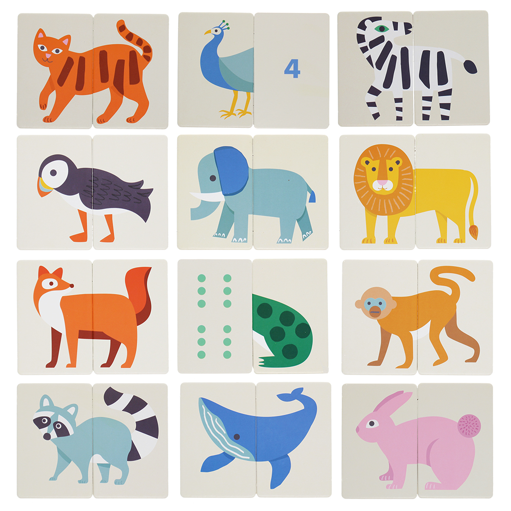 spiel köpfe und schwänze (24 teile)