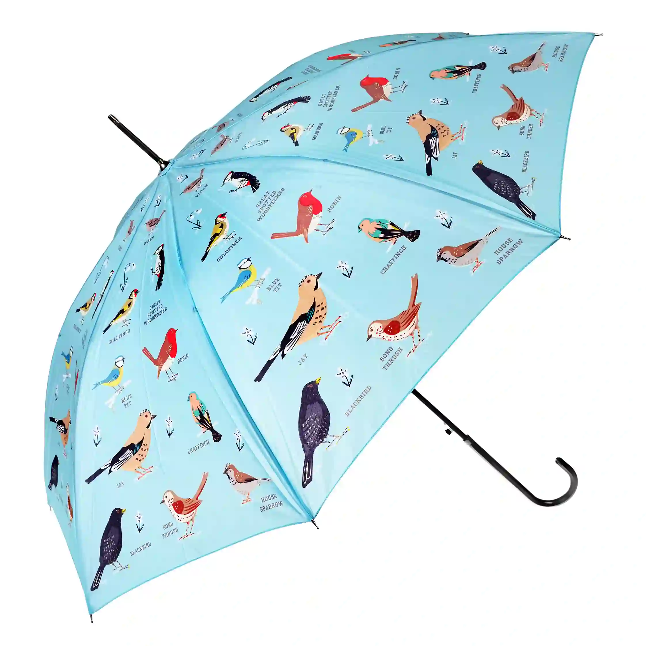 paraguas garden birds