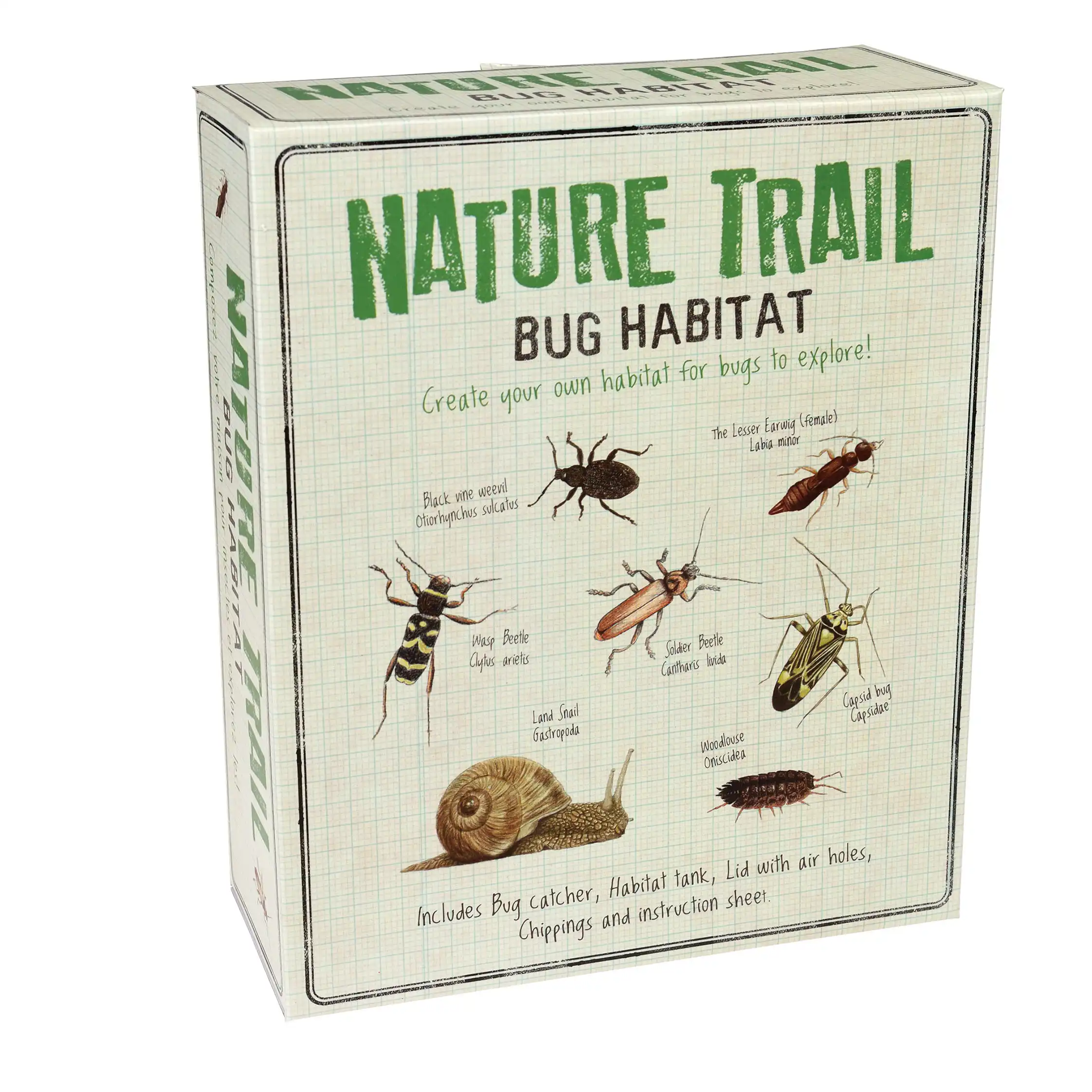 haz tu propio hábitat para insectos