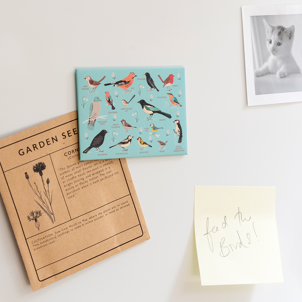 fridge magnet - garden birds