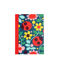 carnet ligné a6 ladybird