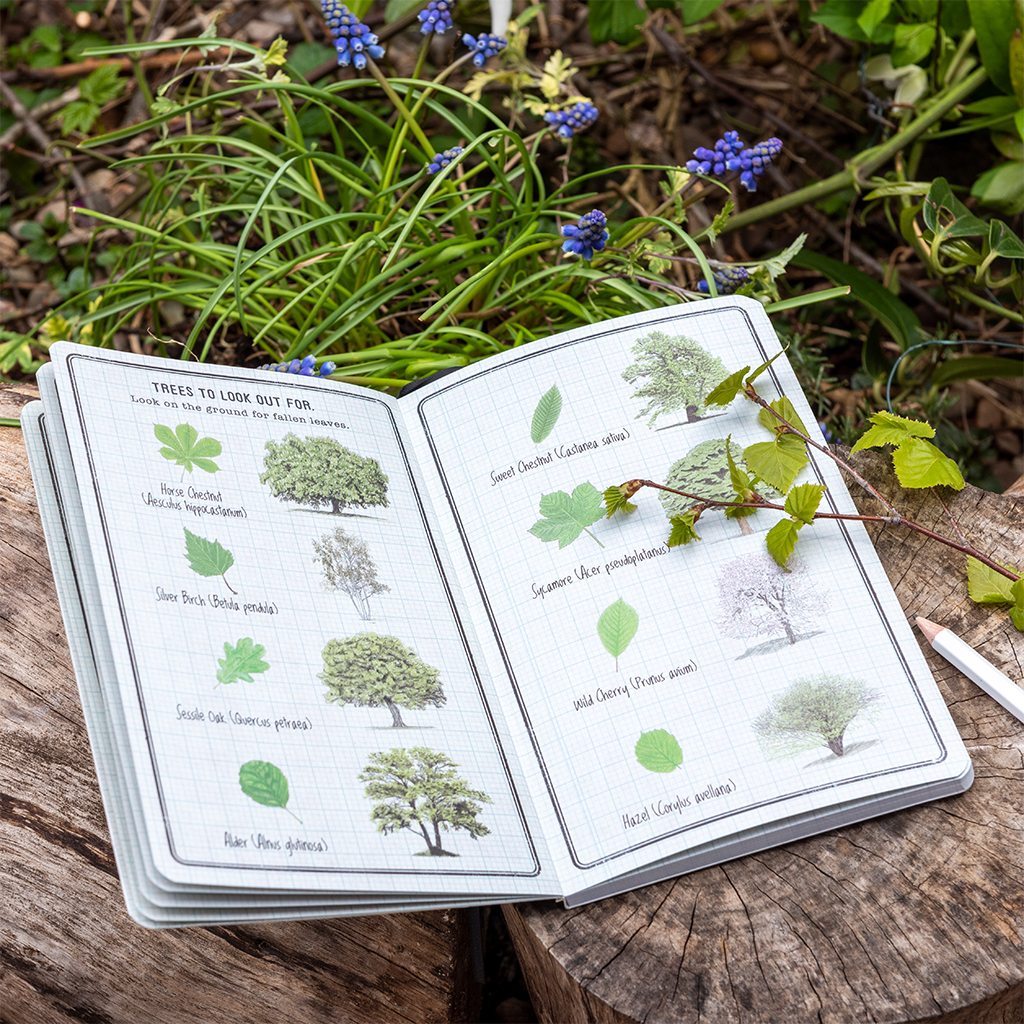 children's journal - nature trail