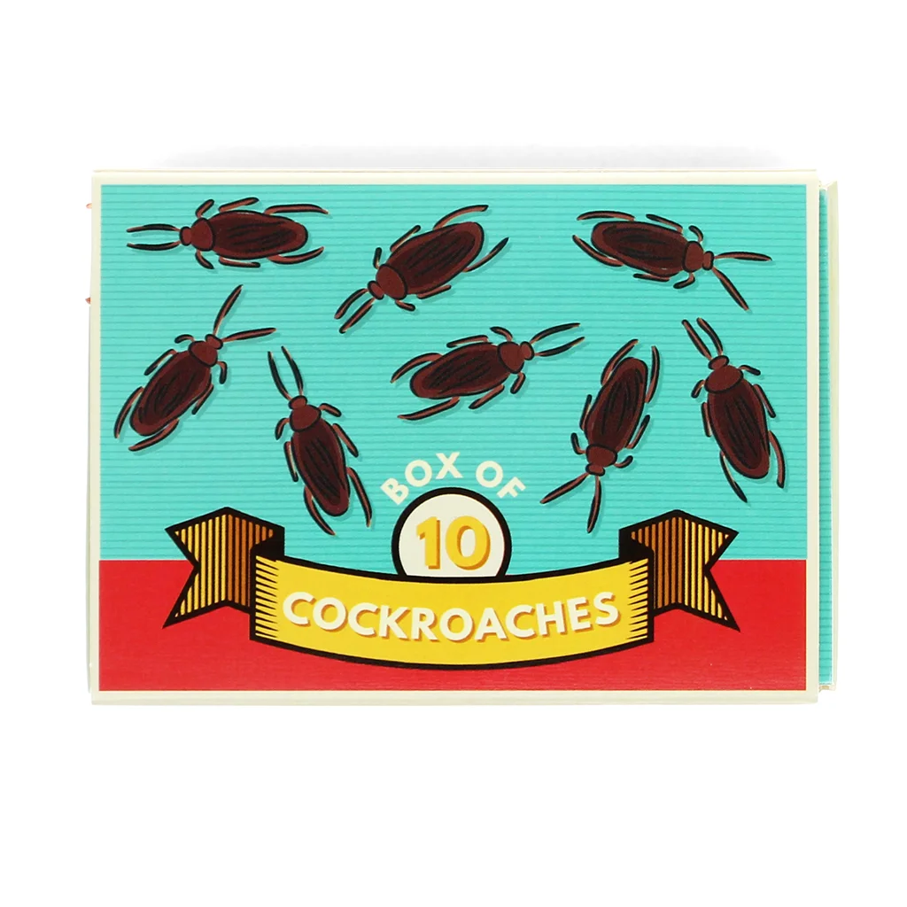 box of 10 cockroaches