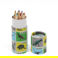crayons de couleur dinosaures (set de 12)