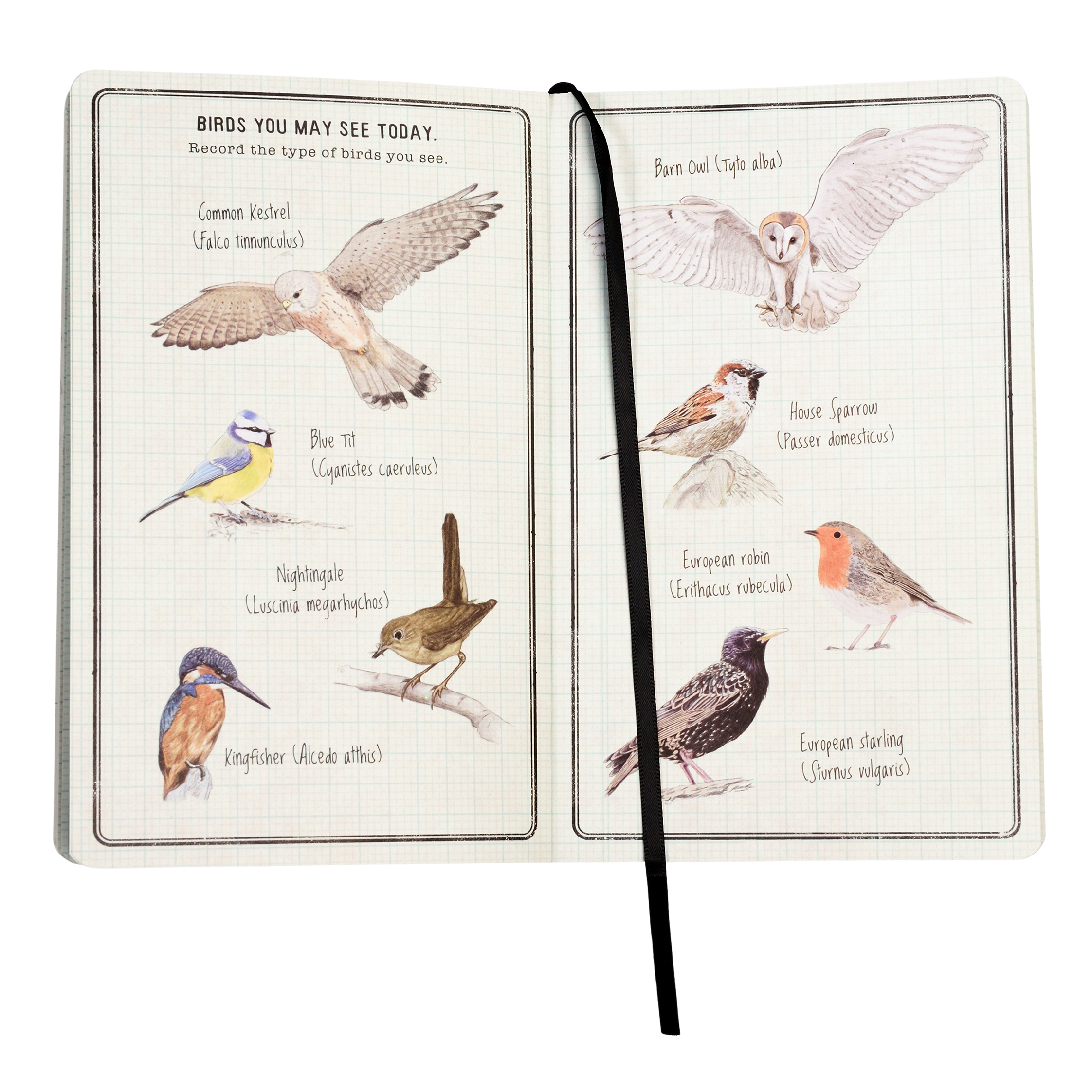 children's journal - nature trail