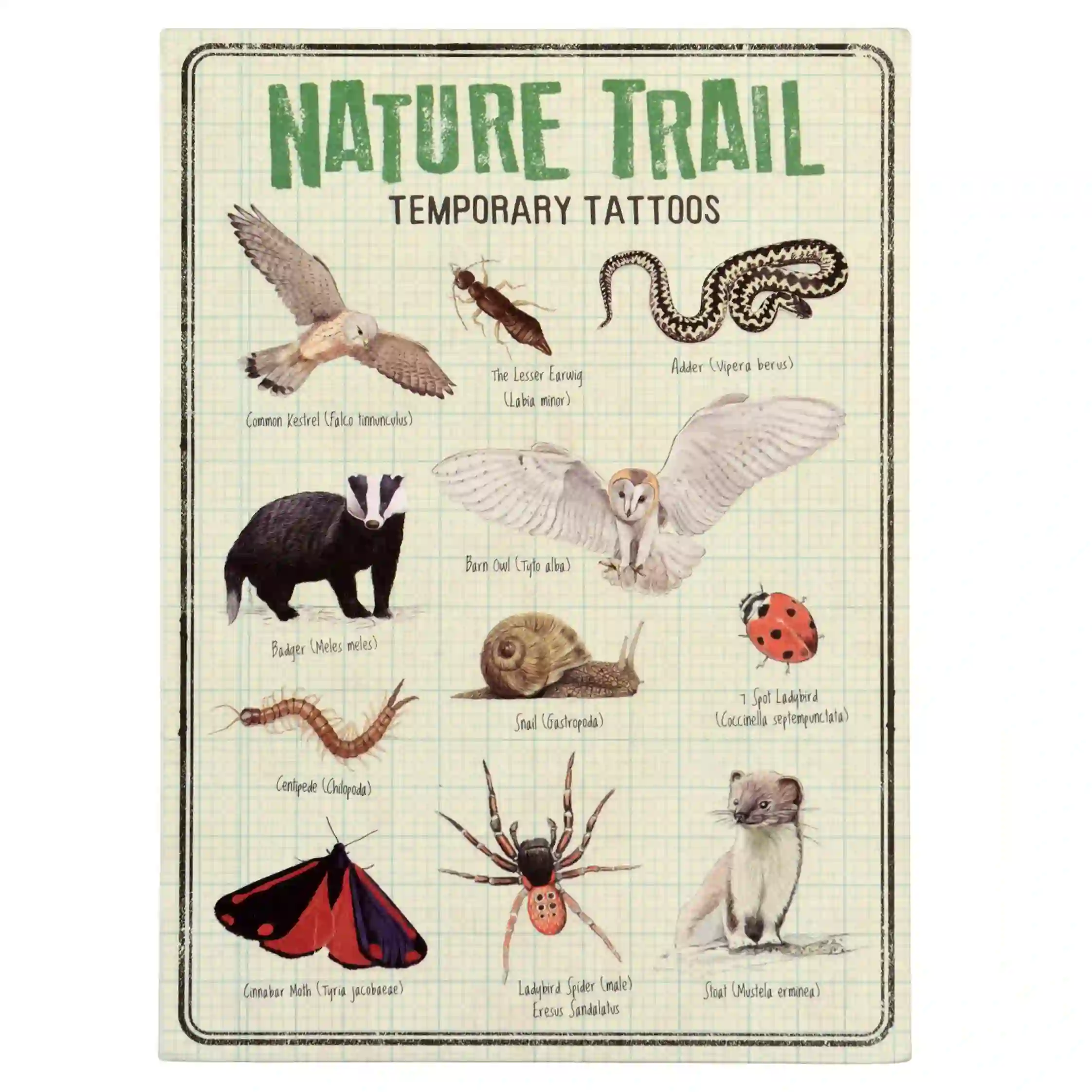 tatuajes temporales nature trail