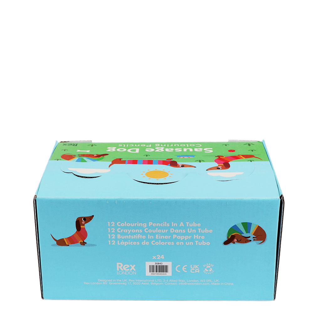 buntstifte in der pappröhre - sunny sausage dog