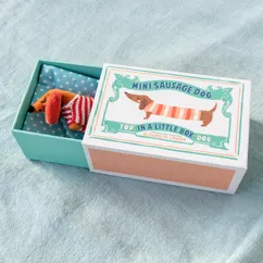 mini chien saucisse dans une petite boîte mini chien saucisse dans une petite boîte