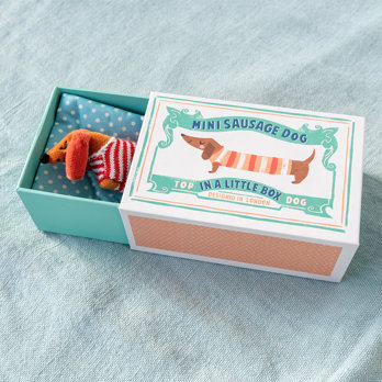 mini sausage dog in a little box