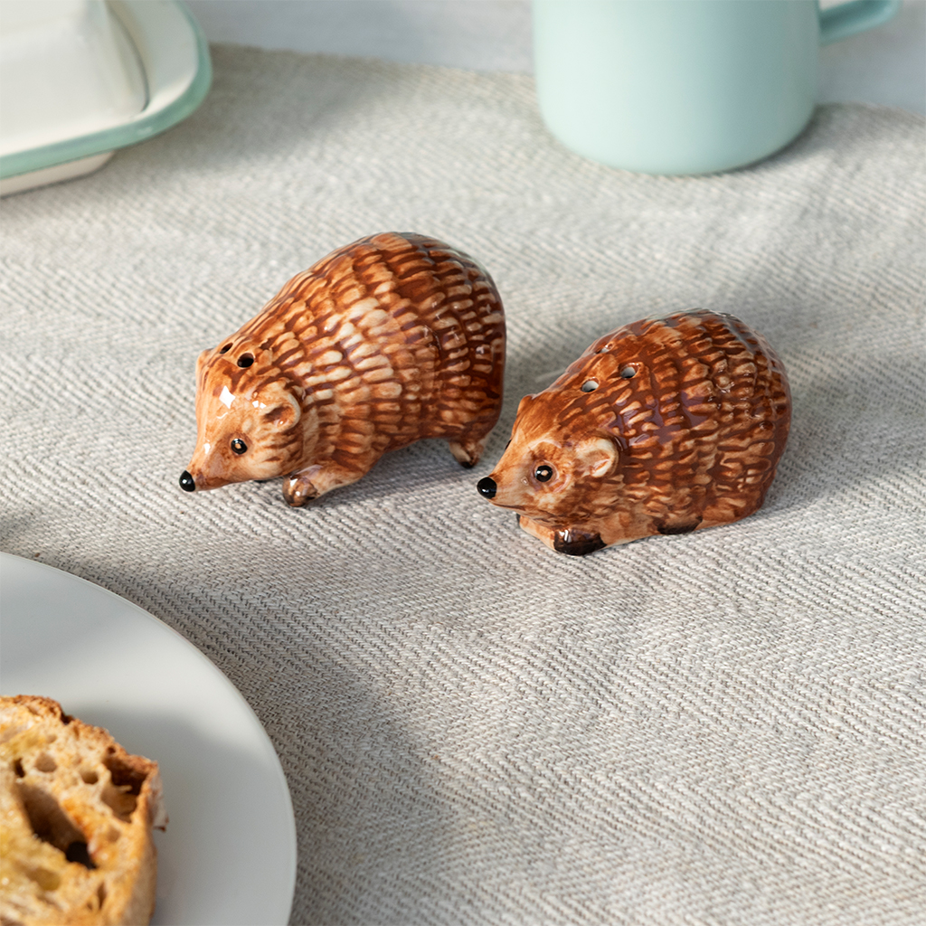 ceramic salt and pepper shakers - hedgehogs