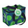 insulated lunch bag - green on blue spotlight