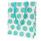shopping bag - turquoise on white spotlight