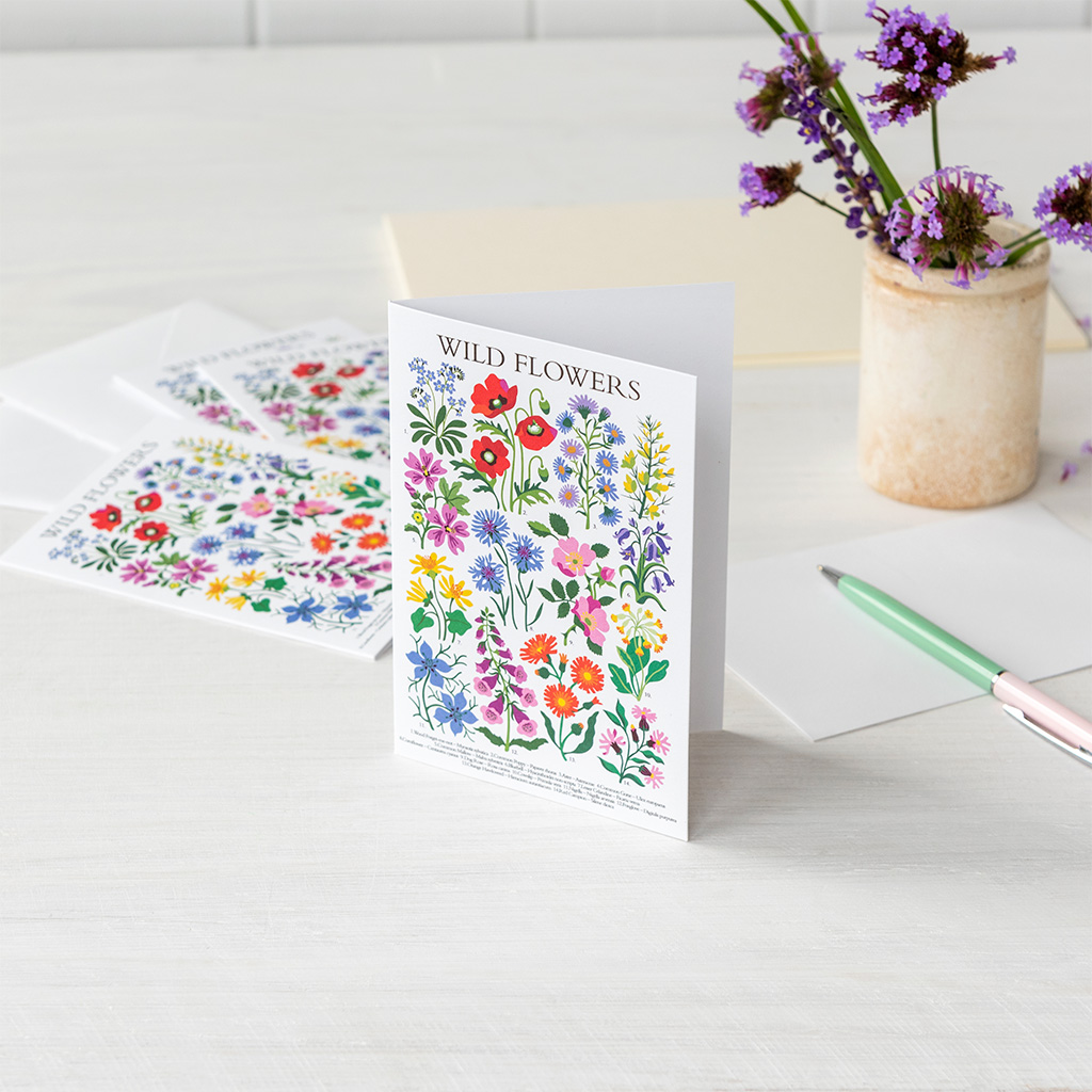 greetings cards (pack of 10) - wild flowers