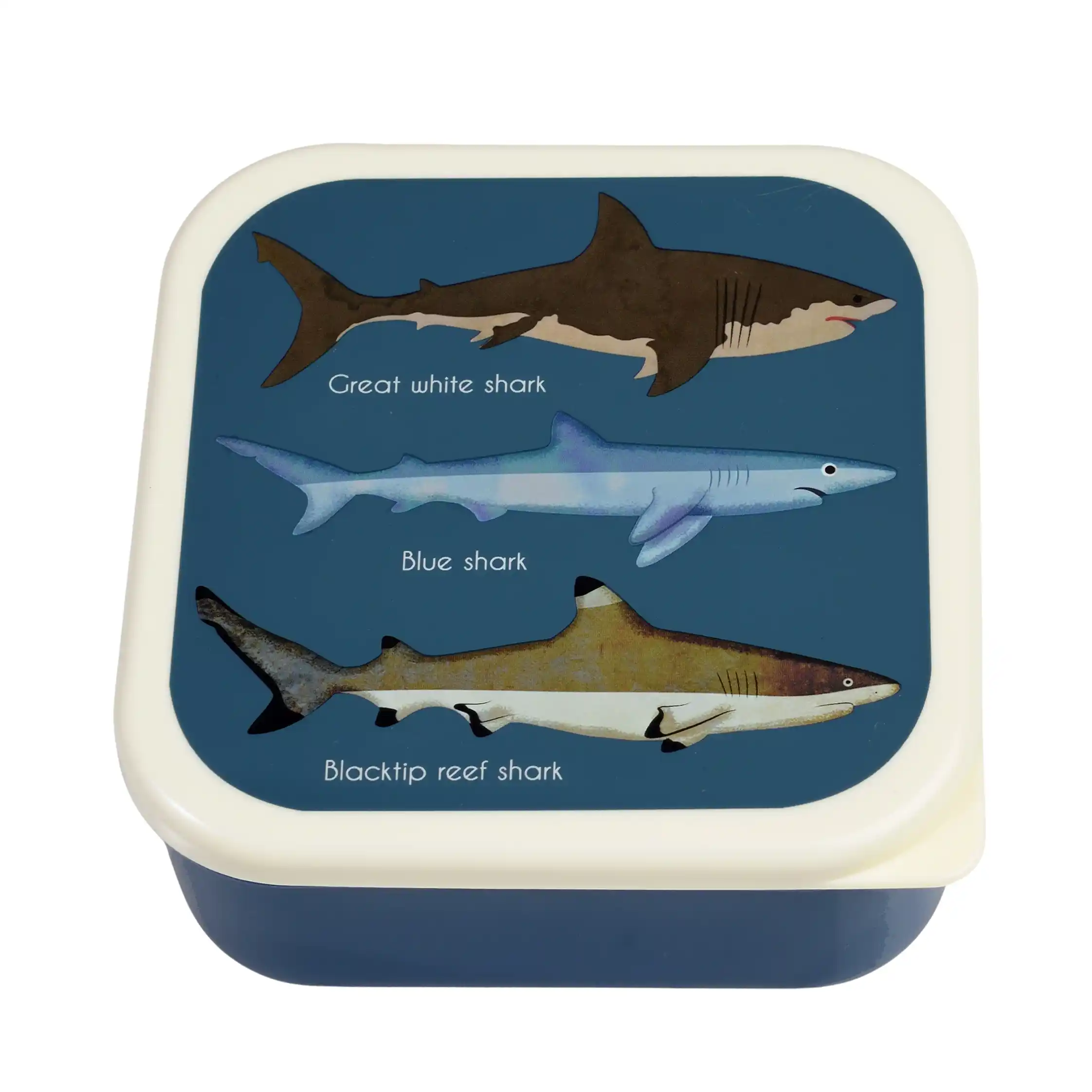 mini contenedores encajables sharks (juego de 3)