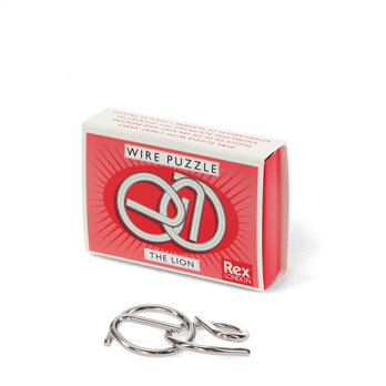brain teaser wire puzzle - assorted