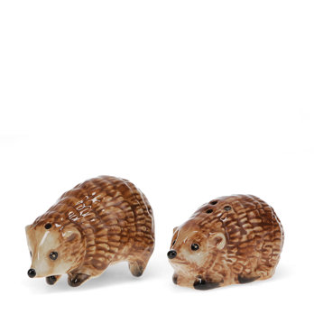 ceramic salt and pepper shakers - hedgehogs