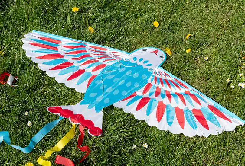 Colourful bird-shaped kite with blue, red, and white wings lying on green grass, with long ribbon tails attached.
