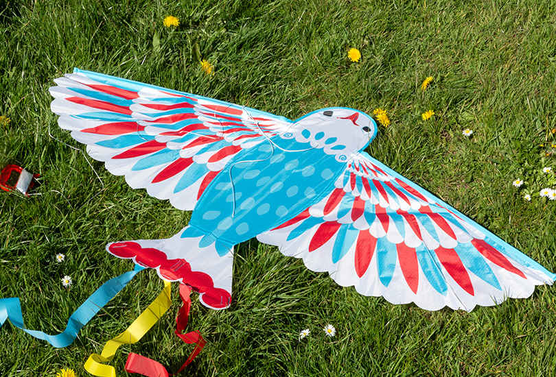 Colourful bird-shaped kite with blue, red, and white wings lying on green grass, with long ribbon tails attached.