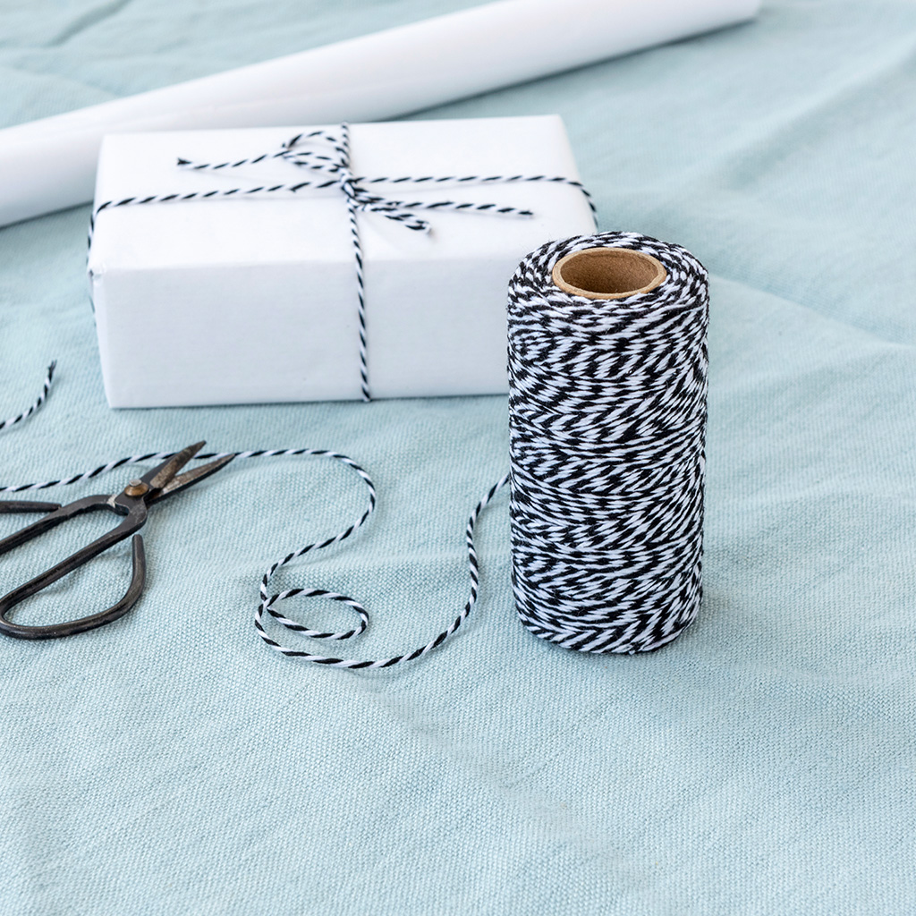 roll of twine (100m) - blue and white