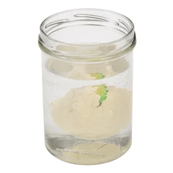 hatch your own dinosaur egg hatch your own dinosaur egg