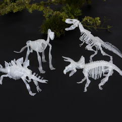 assorted glow-in-the-dark dinosaur skeleton kit