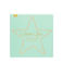 small metal star led light (14cm)