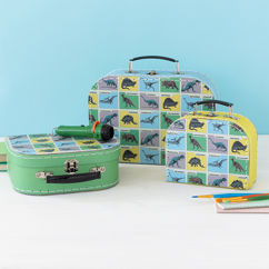 storage cases (set of 3) - prehistoric land