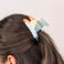 pince à cheveux - perruche