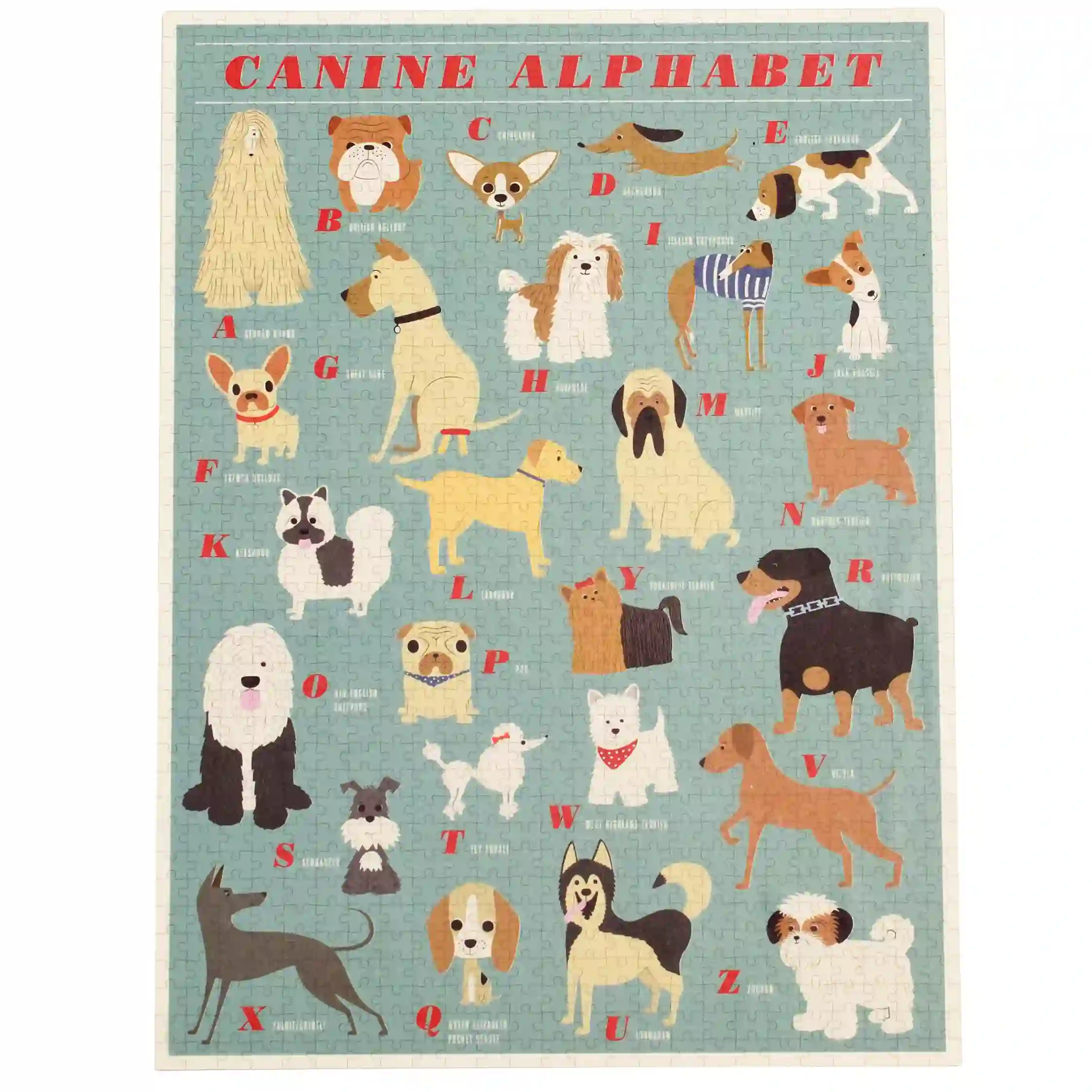rompecabezas "canine alphabet" 1000 piezas best in show