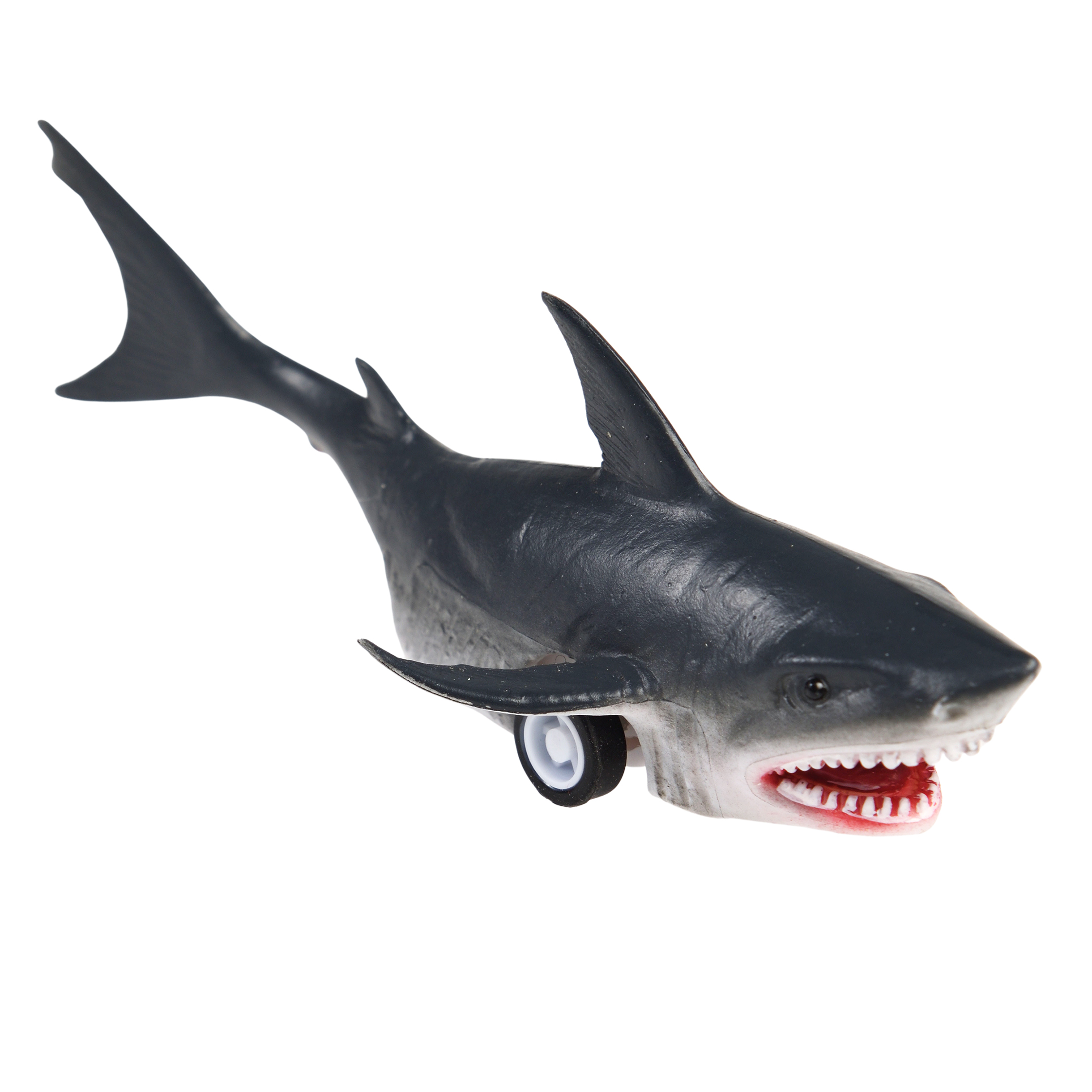 shark pull back toy