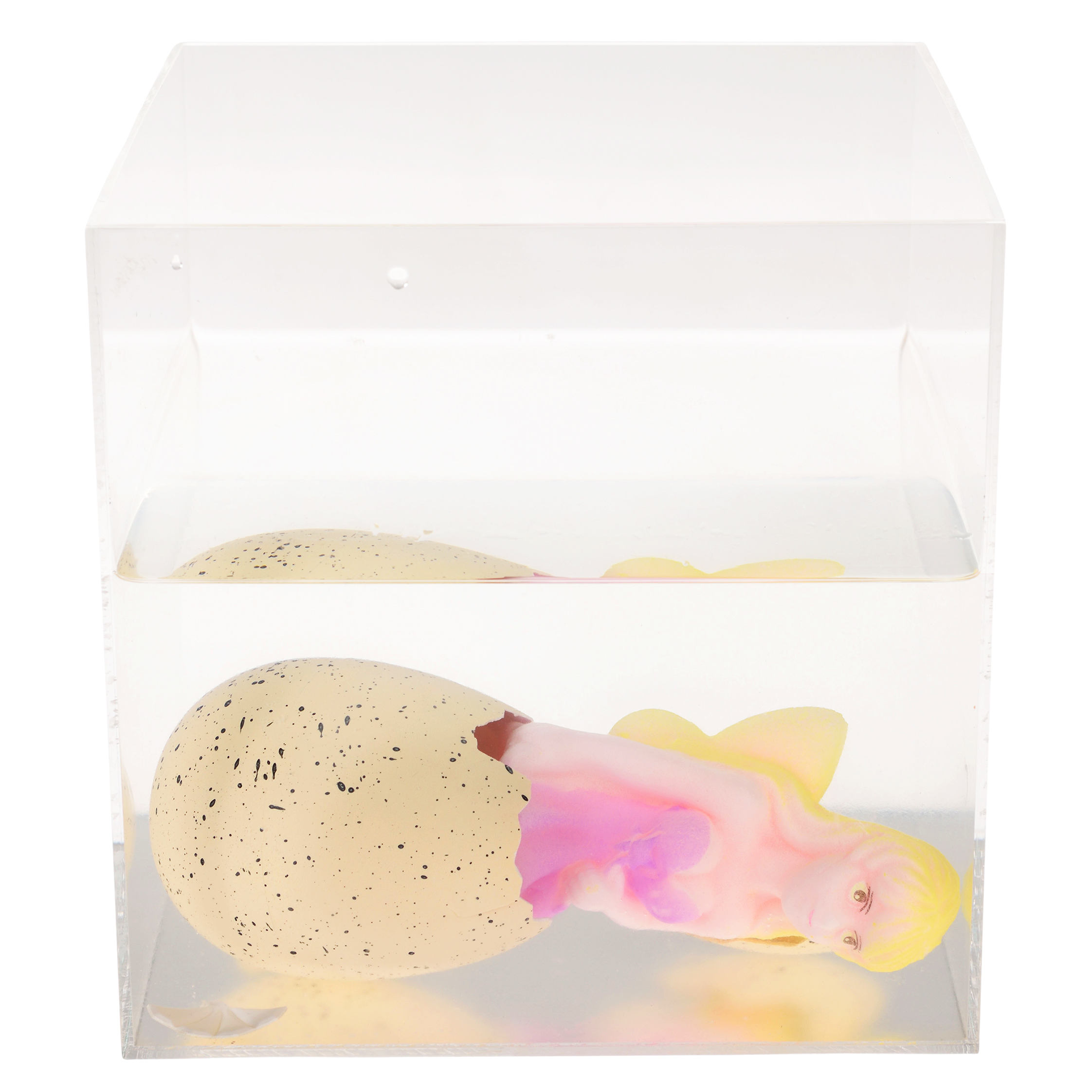 giant hatching fairy egg - fairies in the garden