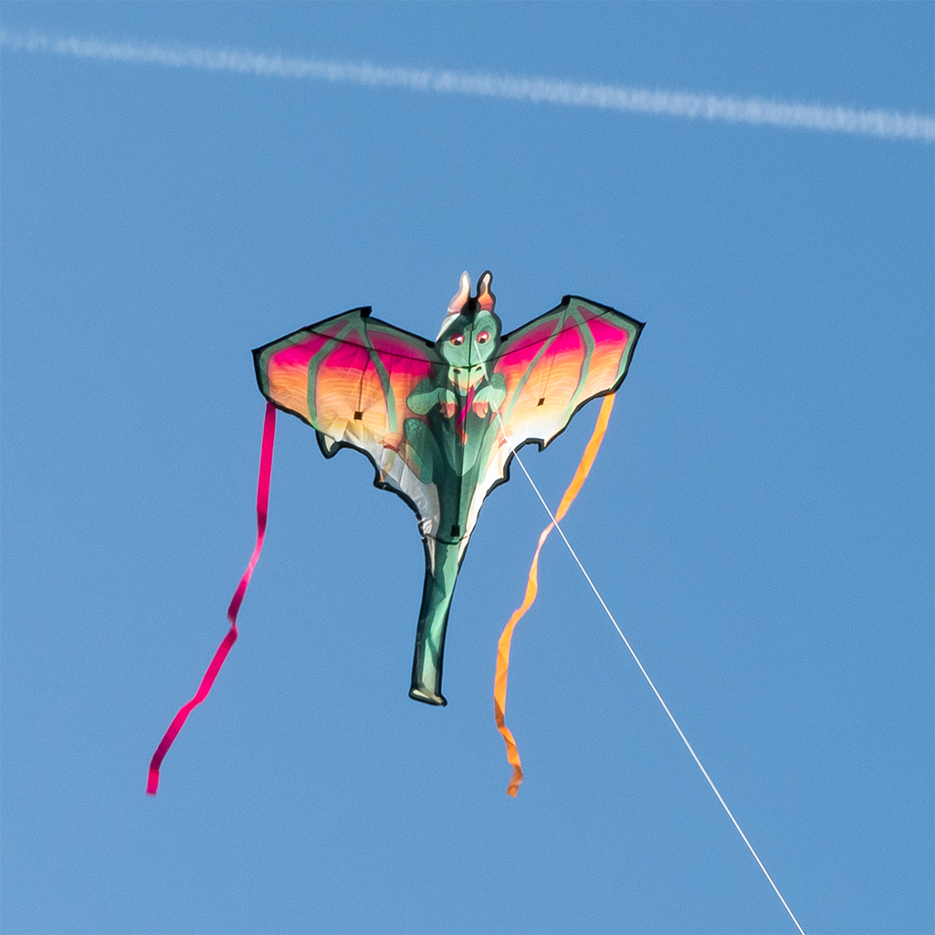giant kite - dragon