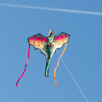 riesendrachen - dragon