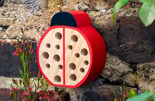 Garden gifts