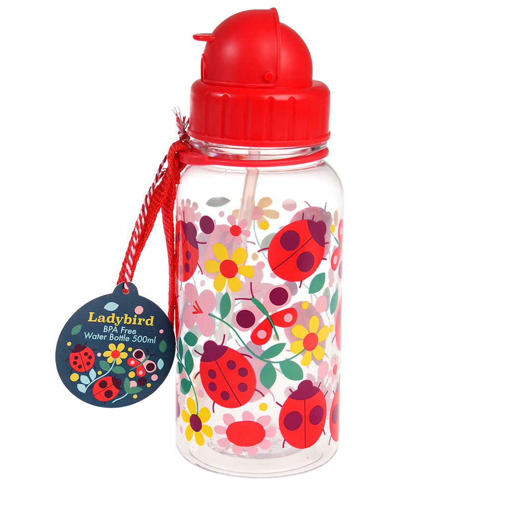 children's water bottle with straw 500ml - ladybird
