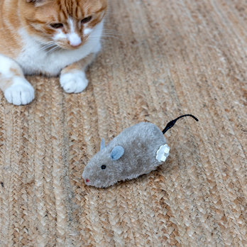 flauschiges aufziehspielzeug – ratte