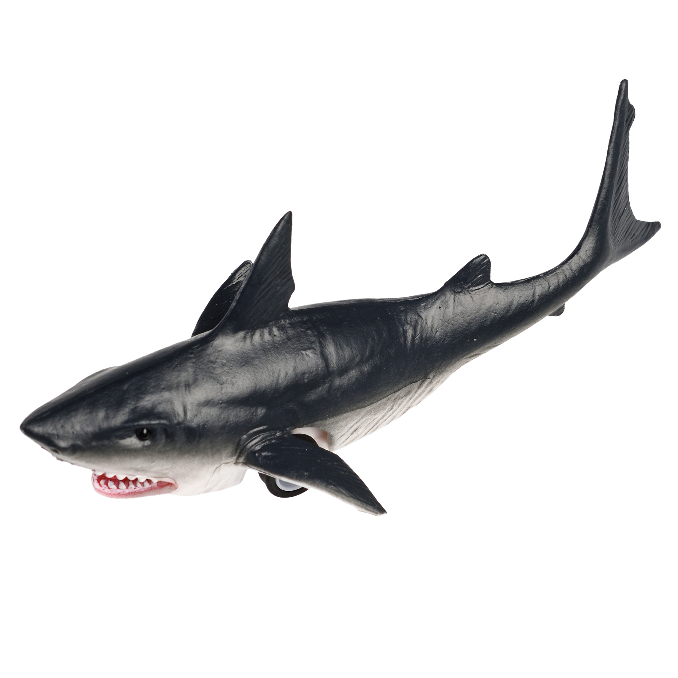 shark pull back toy