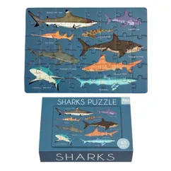 matchbox jigsaw puzzle - sharks