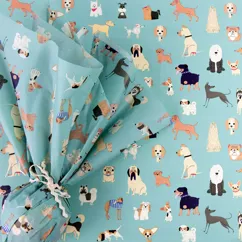 papier de soie best in show (10 feuilles) papier de soie best in show (10 feuilles)