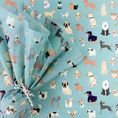 tissue paper (10 sheets) - best in show