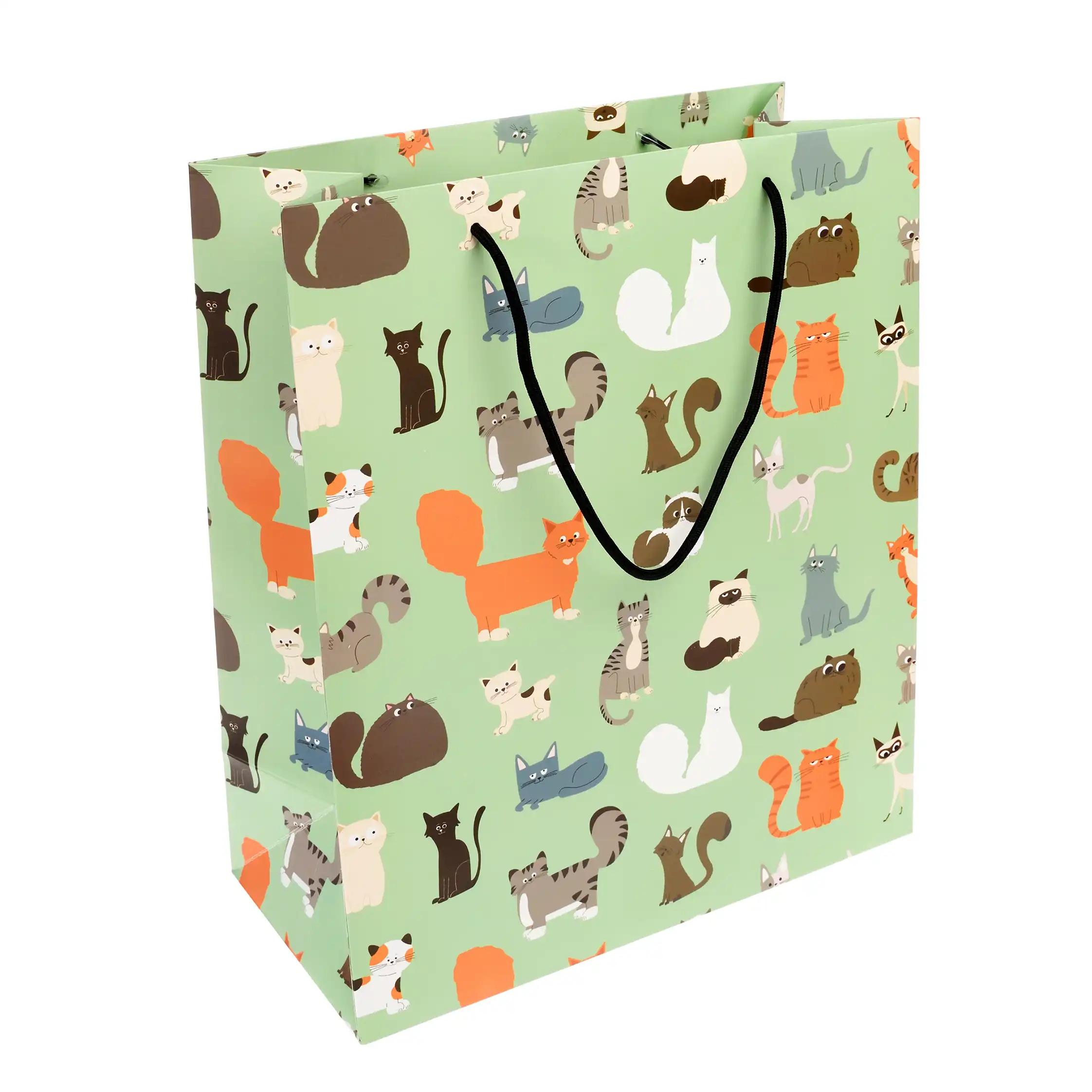 large gift bag - nine lives