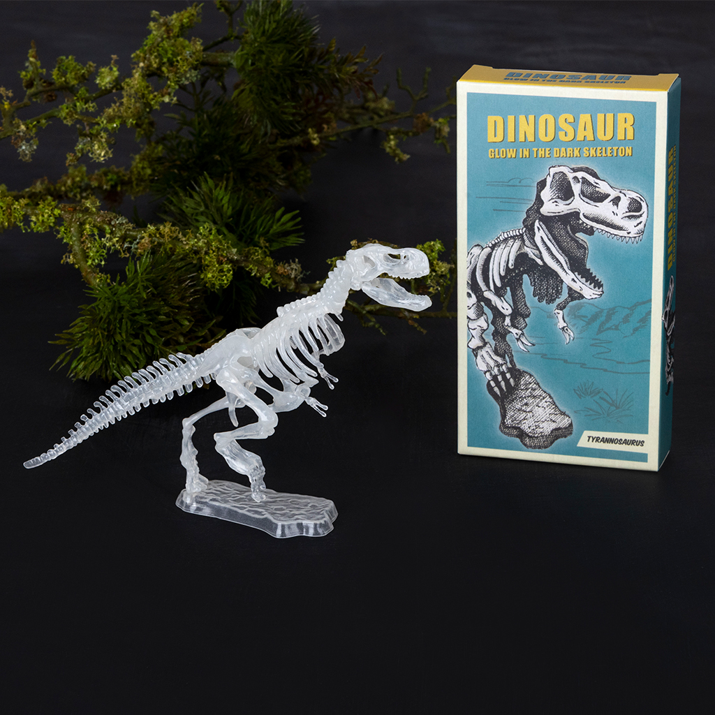 kit d'assemblage dinosaure