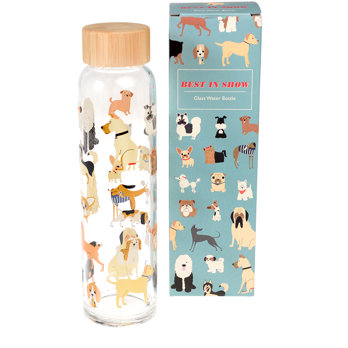 glass water bottle 420ml - best in show