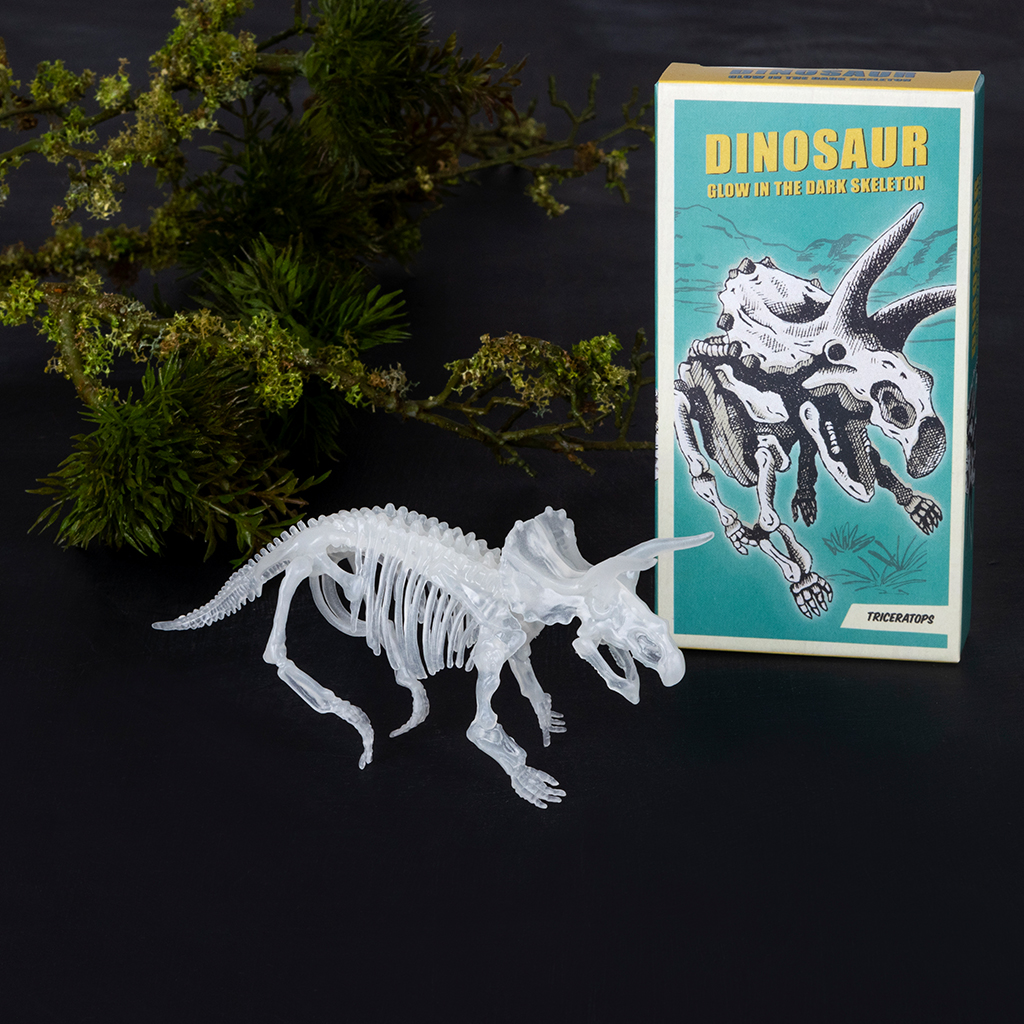 kit d'assemblage dinosaure