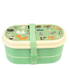 children's bento box - nine lives