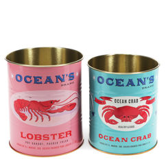 boîtes de conservation moyennes (lot de 2) - ocean's brand
