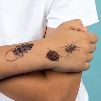 temporary tattoos - beetles temporary tattoos - beetles