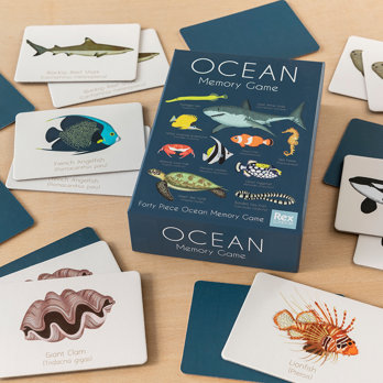 memory spiel ocean (40-teilig)
