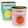 boîtes de conservation xl (lot de 2) - citron et tomate